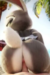 anal anthro butt_focus furry judy_hopps male/female pov rabbit tagme video