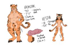 absurd_res anthro balls breasts brynjar dad_bod digital_media_(artwork) duo erection father felid feline female frenhm fur genitals hestia_brynjarsdottir hi_res male male/female mammal model_sheet pantherine parent penis pussy simple_background tiger