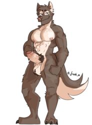 abs absurd_res anthro balls biceps biped canid canine canis erection frenhm fur genitals harlan hi_res looking_at_viewer male mammal muscular muscular_anthro muscular_male nipples nude pecs penis simple_background smile solo wolf