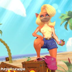 activision anthro bandicoot beach blonde_hair crash_(series) female hair mammal marsupial purpletourmaple sea seaside solo summer sun tawna_bandicoot video_games water