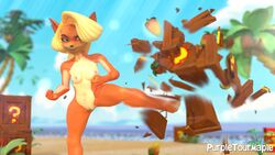 activision anthro bandicoot beach blonde_hair crash_(series) female hair hi_res mammal marsupial purpletourmaple sea seaside solo summer sun tawna_bandicoot video_games water