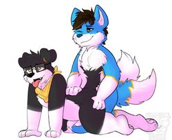 all_fours anthro doggy_style duo fininho from_behind_position male male/male sex sharkall shuabah slightly_chubby