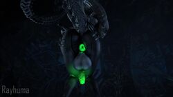 1boy 3d alien alien_(franchise) animated anus ass balls big_ass big_balls big_penis butt exoskeleton femboy genitals glowing_anus glowing_genitalia glowing_penis hands_on_ass large_ass legs looking_at_viewer looking_over_shoulder male male_only male_xenomorph monster no_humans no_sound penis presenting presenting_anus presenting_hindquarters rayhuma sfm shaking_butt sharp_fingernails sharp_teeth solo solo_male source_filmmaker spread_anus spreading_cheeks tail thick thick_ass thick_thighs thighs video xenomorph