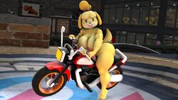 3d_(artwork) animal_crossing anthro barefoot big_breasts breasts canid canine canis curvy_figure daemont92 digital_media_(artwork) domestic_dog exhibitionism feet female hi_res isabelle_(animal_crossing) looking_at_viewer mammal motorcycle nintendo nude pose shih_tzu shortstack smile solo source_filmmaker thick_thighs toes toy_dog vehicle video_games voluptuous wide_hips