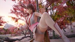 3d breasts cleavage dead_or_alive dead_or_alive_5 female forest fully_clothed kasumi_(doa) kicking loose_clothes menophilia menstrual_pad menstruation no_bra nodern03 panties ponytail sideboob sweat sweating training wet_clothes