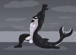 2021 abs anthro ass balls big_balls black_body bodily_fluids cetacean claws colored delphinoid detailed_background erection genital_fluids genitals long_tail male male_only mammal marine muscular muscular_anthro muscular_male nude oceanic_dolphin orca precum raised_arm raised_arms shaded signature sky smile solo teeth toothed_whale water white_body wolfarion yoga yoga_mat