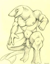 1boy 2003 anthro ayame_emaya flaccid flaccid_penis furry male marine nipples pencil_(artwork) penis shark sketch