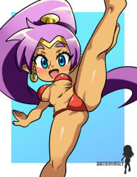 bikini darkunholy female green_eyes legs_apart ponytail purple_hair shantae shantae_(character) smiling_at_viewer solo