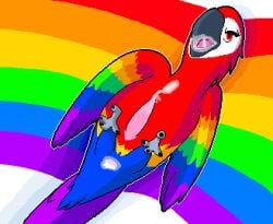 anatomically_inaccurate animal avian bestiality bird bodily_fluids cloacal_penis cum cum_in_ass cum_in_mouth cum_inside digital_media_(artwork) feral genital_fluids hi_res hrelterskrelter lgbt_pride lying male male_focus male_only on_back parrot pixel_(artwork) pride_color_flag pride_colors sole_male solo