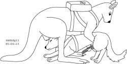 1985 anatomically_correct animal_genitalia animal_penis backpack balls black_and_white canid canine canine_genitalia canine_penis claws dated duo erection feral feral_on_feral fur genitals handjob interspecies jerking_off_another kangaroo kangaroo_genitalia kangaroo_tail knot knotted_penis long_tail macropod male male/male mammal marsupial monochrome penile penis sex sheath simple_background size_difference tail urbanhermit white_background