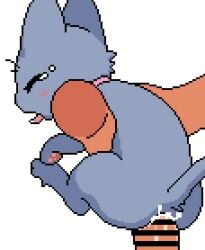 2025 akai animated anus bestiality blush blush_stickers bodily_fluids carrying_another cel_shading censor_bar censored censored_genitalia censored_penis collar cum cum_in_vagina cum_inside digital_media_(artwork) domestic_cat dripping duo felid feline felis female female_feral female_focus female_on_human feral feral_focus feral_penetrated fleshlight_position fur genital_fluids grey_body grey_fur human human_on_feral human_penetrating human_penetrating_female human_penetrating_feral interspecies larger_human larger_male looking_at_another looking_back looking_back_at_another male male/female male_human male_on_feral male_penetrating_feral mammal monotone_body monotone_fur orange_eyes orange_sclera paws penetration penile penile_penetration pixel_(artwork) pixel_animation quadruped rear_view saliva saliva_drip sex shaded simple_background size_difference smaller_female smaller_feral smaller_penetrated solo_focus tears three-quarter_view tongue tongue_out vaginal vaginal_penetration white_background