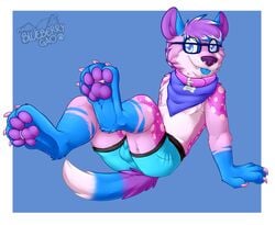 11:9 absurd_res anthro balls_outline bandana blep blue_body blue_clothing blue_fur blue_hair blue_underwear bulge canid canine cheek_tuft chest_tuft claws clothing collar cute_fangs eyewear facial_tuft foot_focus fur gaokun genital_outline glasses hair hi_res kerchief male mammal pawpads paws pink_body pink_fur plantigrade purple_body purple_fur purple_hair purple_inner_ear purple_nose purple_pawpads sheath_outline solo solo_male spots spotted_body toe_claws tongue tongue_out tuft underwear watermark white_body white_fur white_hair