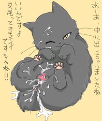 <3_censor a_cat_is_fine_too after_sex amayakasuneko anus ass bodily_fluids censored cum cum_in_pussy cum_inside cum_on_butt cum_on_face cum_on_stomach digitigrade diru domestic_cat felid feline felis female feral fur genital_fluids genitals grey_body grey_fur heart hi_res humanoid_genitalia humanoid_pussy humanoid_pussy_on_feral ineffective_censorship japanese_text lying mammal on_back one_eye_closed pawpads pussy shikaruneko_(series) simple_background solo text whiskers yellow_background yellow_eyes zoophilia