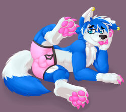 9:8 absurd_res anthro balls_outline black_nose blep blue_body blue_eyes blue_fur blue_hair bulge canid canine chest_tuft claws clothing cute_fangs ear_piercing eyebrows fur gaokun genital_outline hair head_tuft hi_res inner_ear_fluff male mammal pawpads paws piercing pink_clothing pink_pawpads pink_underwear presenting_bulge sheath_outline simple_background solo solo_male toe_claws tongue tongue_out tuft underwear white_body white_fur white_hair