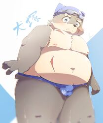 10_cosmo_24 1boy anthro belly blush bulge canid canine canis clothing domestic_dog genital_outline hi_res male male_only mammal moritaka navel nipples overweight overweight_anthro overweight_male penis_outline scar solo swim_cap swimcap swimming_cap swimwear tokyo_afterschool_summoners video_games