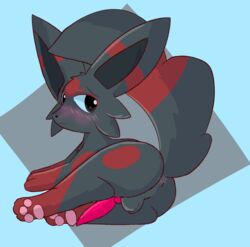 animal_genitalia animal_penis anus balls blush dreaming_dusk eeveelution feral genitals hi_res hybrid male nintendo penis pokémon_(species) pokemon pokemon_(species) solo tapering_penis umbreon video_games zorua