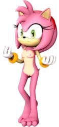 1girls 3d 3d_(artwork) 5_fingers amy_rose anthro barefoot black_nose breasts eyelashes feet fingers gloves green_eyes hair headband hedgehog navel nipples nude pink_body pink_hair png pussy rarequinez sega small_breasts sonic_(series) sonic_the_hedgehog_(series) standing tan_body