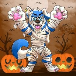 1:1 1boy 2020 anthro bandage biped black_nose blue_body blue_eyes blue_fur bulge canid canine canis chest_tuft claws domestic_dog ear_piercing eyebrows food fruit fur gaokun gaokun_(character) genital_outline halloween hi_res holidays male male_only mammal moon mummy_costume open_mouth owo pawpads penis_outline piercing pink_pawpads plant pumpkin solo tail_tuft teeth toe_claws tongue tongue_out tree tuft uwu watermark white_body white_fur