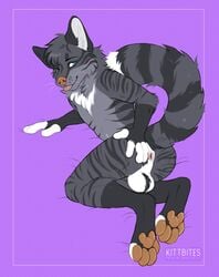 anthro ass backsack ball_tuft balls canid canine domestic_cat faxby felid feline felis foot_focus fox genitals hi_res hybrid kittbites male male_only mammal one_eye_closed paws presenting presenting_hindquarters solo spreading stripes tabby_cat tongue tongue_out tuft wink zax