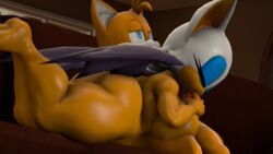 rouge the bat from sega by ironhawk