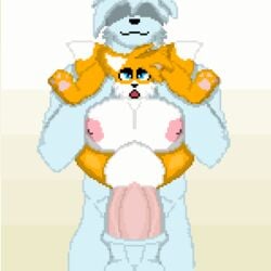 animated anormalzombie big_breasts big_penis breasts canid canine cole_sutra digital_media_(artwork) duo eulipotyphlan female fox full_nelson genitals gif hedgehog huge_breasts huge_cock humanoid hyper hyper_genitalia hyper_penetration hyper_penis loop male male/female mammal mtf_crossgender muscular muscular_male penetration penis pixel_art ridiculous_fit rule_63 size_difference sonic_(series) stomach_bulge tails tailsko vaginal_penetration