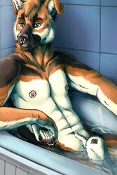 2021 5_fingers absurd_res anthro bathroom bathtub canid canine canis domestic_dog facial_piercing fingers fur genitals hi_res inside male mammal marjani multicolored_body multicolored_fur nose_piercing penis piercing solo spartie