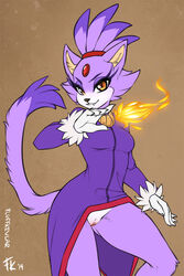 blaze the cat from sega by fluff-kevlar