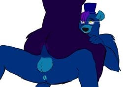 Bear Rule 34 Image