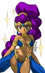 alternate_costume armlet armor bikini_armor breasts contrapposto dancer dancer_outfit dancer_shantae earrings edit eyelashes female female_only forehead_jewel harem_outfit jewelry long_hair lots_of_jewelry medium_breasts neck_ring negarobo pelvic_curtain robaato shantae shantae_(character) showgirl_skirt sideboob sketch slender_waist smile smooth_skin solo standing tiara very_long_hair wide_hips