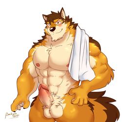 1boy abs anthro balls barrel_(live-a-hero) beckykyun canid canine canis erection fur genitals hi_res live-a-hero male male_only mammal multicolored_body multicolored_fur muscular muscular_anthro muscular_male nipples nude pecs penis solo towel wolf