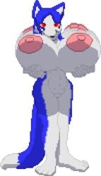 2016 alpha_channel animated anthro areola bedroom_eyes big_areola big_breasts biped blue_body blue_fur bouncing_breasts breasts canid canine digital_media_(artwork) dipstick_tail female fox front_view fur genitals gif gigantic_areola gigantic_breasts gigantic_nipples half-closed_eyes holding_breast holding_breasts huge_breasts hyper hyper_breasts legs_together looking_at_viewer low_res mammal multicolored_tail narrowed_eyes nipples nude pink_sclera pixel_art plantigrade presenting presenting_breasts pussy ralord red_eyes seductive short_playtime simple_background solo standing transparent_background tsunamidusher white_body white_fur wide_hips