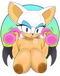 bat blue_eyes breasts brown_nipples dumbbell exercise exercising eye_shadow furry huge_breasts jenokamui looking_at_viewer nipples puffy_nipples rouge_the_bat sagging_breasts sonic_(series) sonic_the_hedgehog_(series) sweat sweating topless wings
