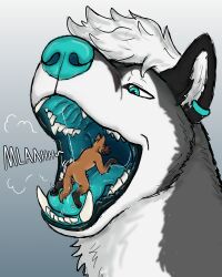 4:5 absurd_res anthro anthro_on_feral black_lips blue_eyes blue_mouth blue_nose blue_tongue blush bodily_fluids breath canid canine canis clover_(cloverfusky) copper_(copper-dog) domestic_dog drooling duo ear_piercing ear_ring extreme_size_difference feral fox genitals herding_dog hgythshs hi_res husky hybrid imminent_vore lips male male/male malinois_dog mammal mouth_shot nordic_sled_dog open_mouth pastoral_dog penis piercing ring_piercing saliva sheepdog size_difference spitz teeth text tongue vore zoophilia