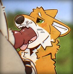 fox (minecraft) from microsoft by lakkithefox