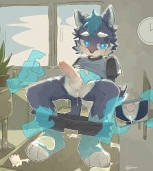 4_toes 5_fingers all_fours anthro big_penis black_bottomwear black_clothing black_shorts black_sleeves blue_body blue_clothing blue_eyes blue_fur blue_hair blue_shirt blue_topwear blush bodily_fluids bottomwear bottomwear_down canid canine canis classroom classroom_nudity clothed clothing cum cum_in_ass cum_inside disembodied_hand domestic_dog erection feet fingers fur genital_fluids genitals group hair hi_res humanoid_genitalia humanoid_penis husky male male/male mammal nordic_sled_dog partially_clothed penis recording_sex regcron school school_uniform shirt shorts shorts_down solo_focus spitz toes topwear undressing_another uniform white_body white_fur