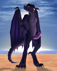 anthro beach dragon erection genitals hands_on_hips hi_res looking_at_viewer male penis seaside shido-tara solo sunrise