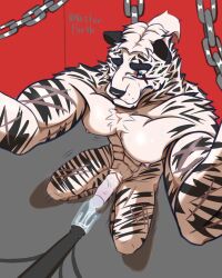 4:5 abs anthro arknights biceps blue_eyes bodily_fluids bound chains chest_tuft cum ejaculation erection felid fur genital_fluids genitals hair hi_res hypergryph machine male mammal milking_machine mountain_(arknights) muscular muscular_anthro muscular_male nervous nervous_sweat nestor_forth nipples nude pantherine pecs penile penis penis_milking penis_milking_machine ponytail pubes restraints scar simple_background solo striped_body striped_fur stripes studio_montagne sweat tiger tuft white_body white_fur