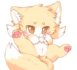 :< ass belly blush canid canine cheek_tuft chest_tuft chibi clitoral_hood clitoris dipstick_tail facial_tuft feet female feral fox front_view fur genitals hand_on_belly hand_on_cheek hindpaw kirichiiii looking_at_viewer lying mammal markings multicolored_body multicolored_fur on_back paws presenting presenting_hindquarters presenting_vulva simple_background solo spread_legs spreading tail tail_markings tuft two_tone_body two_tone_fur vulva white_background white_belly white_body white_fur yellow_body yellow_fur