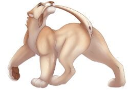 absurd_res alpha_channel animal_genitalia animal_vulva anus ass bedroom_eyes belly bite calpurnia digitigrade felid feline_genitalia feline_vulva female feral fur genitals gripping_tail heymayaart hi_res holding_tail_up lion looking_at_viewer mammal markings mole_(marking) narrowed_eyes neck_scruff pantherine pawbs pawpads paws presenting presenting_anus presenting_hindquarters presenting_vulva purple_eyes quadruped raised_tail seductive signature solo tail tail_bite tail_in_mouth tail_tuft tan_body tan_fur tuft vulva white_belly