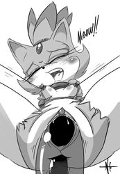 anal_gape anthro anthro_female anthro_only blaze_the_cat enef furry furry_female furry_only mobian_(species) sonic_(series) tagme