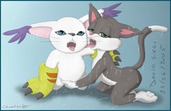 animaniacs anthro asthexiancal cat digimon feline female fur furry furry_only gatomon mammal rita_(animaniacs) rita_and_runt tagme