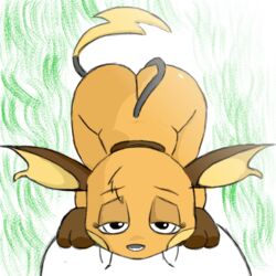 ambiguous_gender animated anthro deep_throat deepthroat duo eye_contact fellatio frame_by_frame lil'bun looking_at_viewer loop male male/ambiguous nintendo oral penile pokémon_(species) pokemon pokemon_(species) pov raichu sex short_playtime video_games