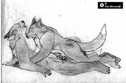 anatomically_correct anthro bite canid canine duo ears_back female female_penetrated flat_chested male male/female male_penetrating male_penetrating_female mammal nipples penetration penile penile_penetration penis_in_pussy pivoted_ears teeth_showing the_werewolf traditional_media_(artwork) vaginal_penetration vaginal_penetration were werecanid werecanine werewolf