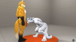 amoux animated anthro ballbusting canid canine cock_and_ball_torture connivingrat dragon duo flaccid fox genital_torture genitals humanoid hybrid male male/male male_only mammal muscular muscular_male nutshot pain penis petruz