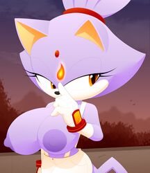 blaze the cat from sonic (series) by slickehedge
