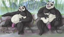 2boys balls belly bodily_fluids dreamworks father father_and_child father_and_son foreskin fur genital_fluids genitals giant_panda glans kung_fu_panda li_shan_(kung_fu_panda) male male/male mammal master_po_ping nipples nude overweight overweight_male parent parent_and_child partially_retracted_foreskin penis precum relaxing son uncut ursid wazellthewolf