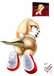 cream_the_rabbit fish goldenshoe project_x_love_potion_disaster sega sonic_(series) sonic_the_hedgehog_(series)