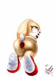 cream_the_rabbit furry gaping gaping_anus goldenshoe project_x_love_potion_disaster rabbit sega sonic_(series) sonic_the_hedgehog_(series) tagme tail