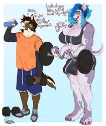 anthro barbell big_breasts blue_hair breasts bulge canid canine cleavage clothed clothing dialogue dumbbell duo english_text exercise gynomorph hair hi_res hyu_(hyucaze) hyucaze intersex male mammal text weightlifting weights workout