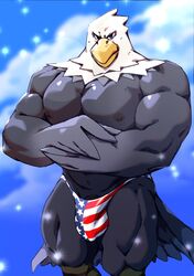 1boy 2019 accipitrid accipitriform animal_crossing anthro apollo_(animal_crossing) areola avian bald_eagle beak biceps big_biceps big_bulge big_muscles big_pecs bird bulge clothed clothing digital_media_(artwork) eagle feather_hands feathers front_view genital_outline grey_areola grey_body grey_feathers grey_nipples hands_together hi_res jockstrap looking_at_viewer male male_only multicolored_body multicolored_feathers muscular muscular_anthro muscular_male nintendo nipples pecs penis_outline portrait quads scutes sea_eagle solo sparkles tail_feathers taoren thick_thighs three-quarter_portrait topless underwear underwear_only white_body white_feathers yellow_beak